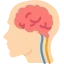Ca lâm sàng vùng lưng