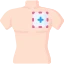 Ca lâm sàng vùng ngực