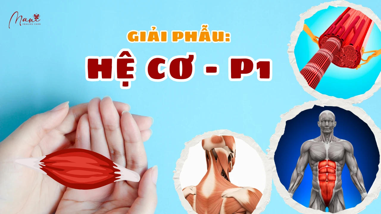 Ảnh giới thiệu 02