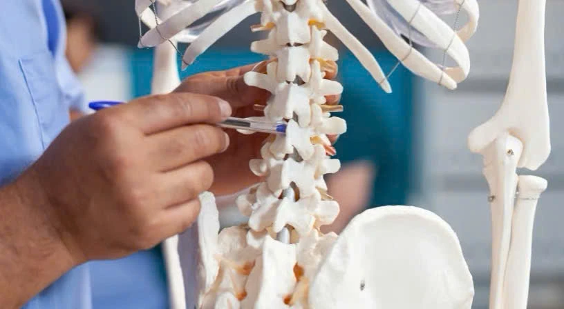 NỘI DUNG CHƯƠNG TRÌNH GIẢI PHẪU CƠ THỂ NGƯỜI