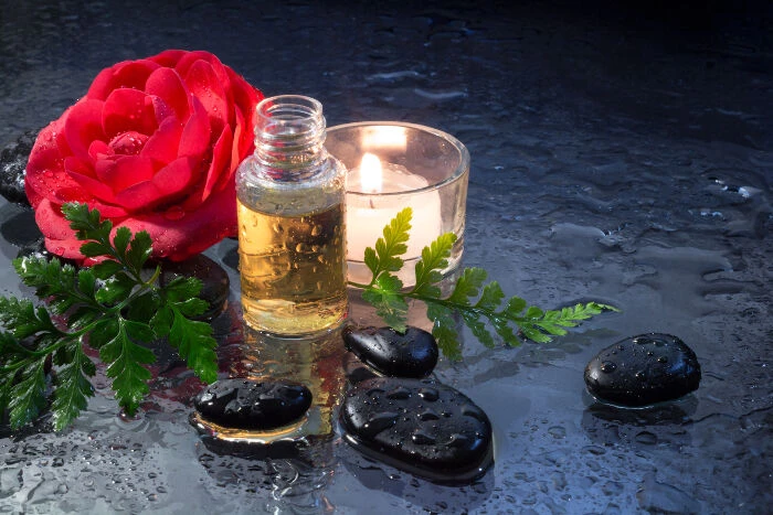 Công dụng của Camellia Japonica Seed Oil (Tinh dầu hoa trà)